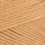 Camel (124)