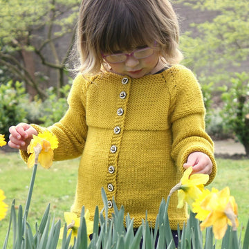 Barley Twist Cardigan