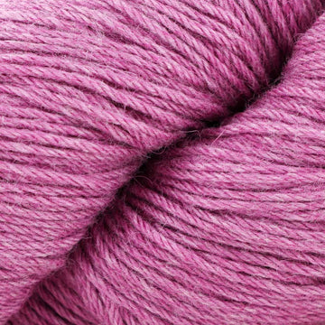 Raspberry (7)