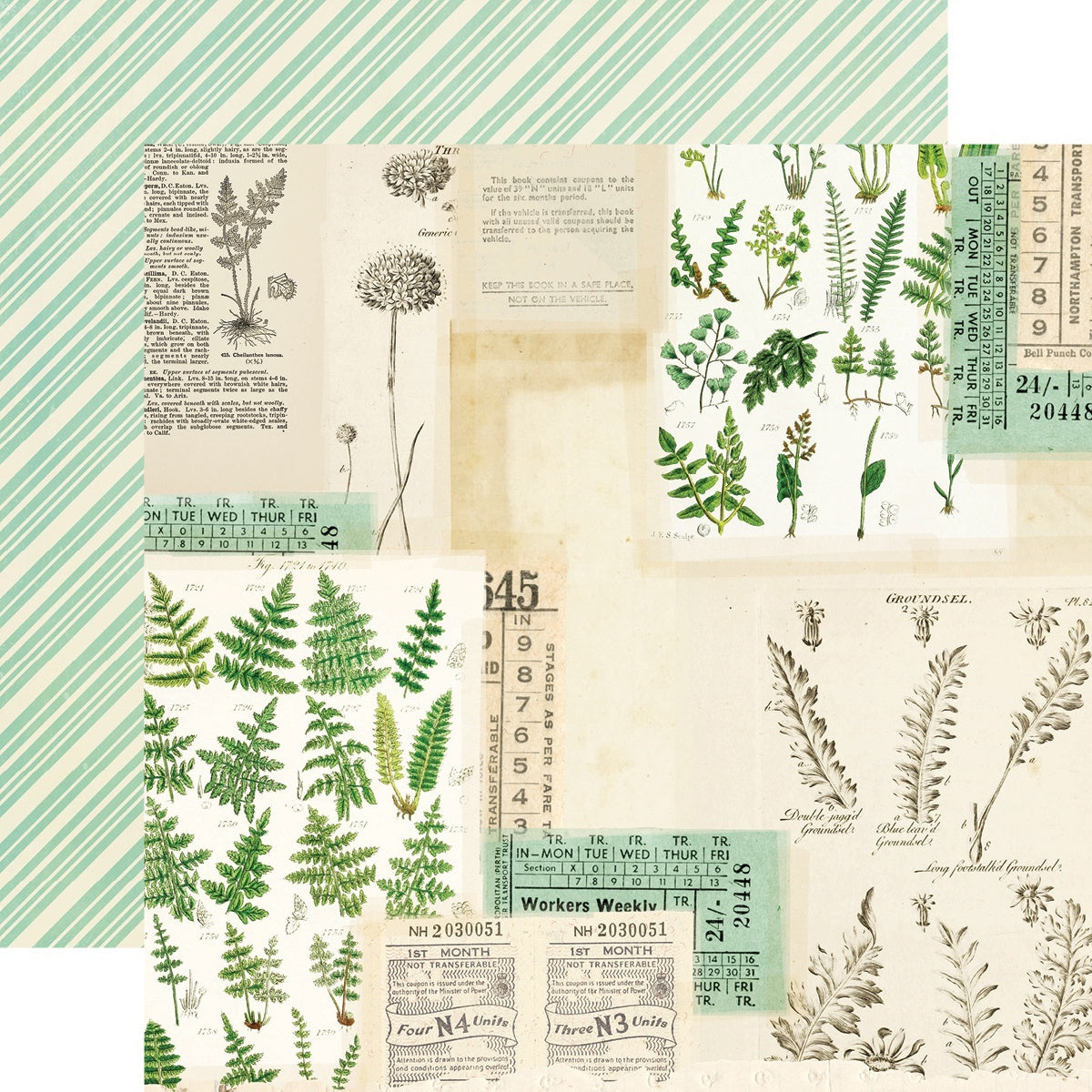 Simple Stories Simple Vintage Great Escape Double-Sided Cardstock 12"X12" 25/Pkg - Born To Roam