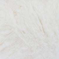 Coconut (4365)
