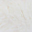 Coconut (4365)