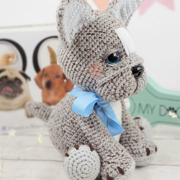 Cookie the French Bulldog