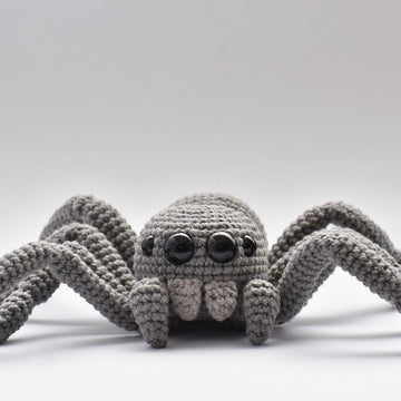 Jumping Spider