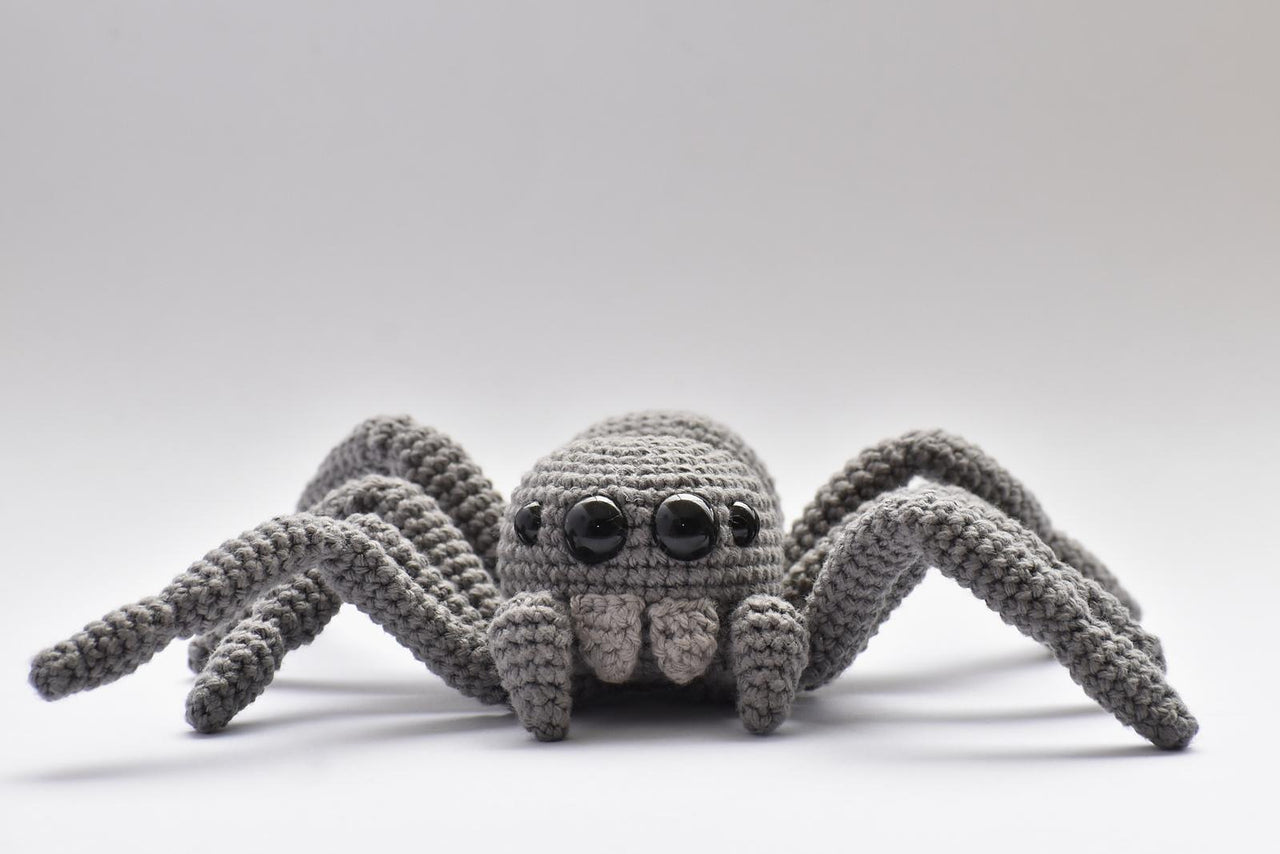 Jumping Spider