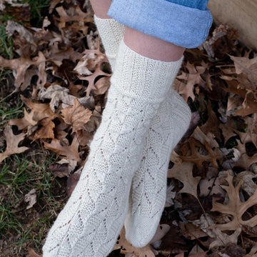 David Sock