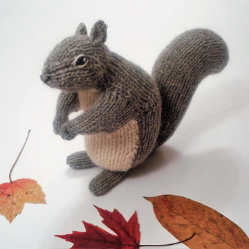 Backyard Squirrel