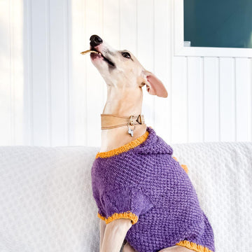 Doggo 16 dragon sweater