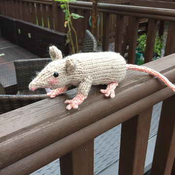 Raymond the Rat