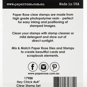 Paper Rose Clear Stamps 4"X4" - Hey Chick
