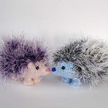 Curious hedgehog