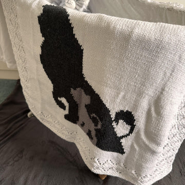 Lion King Baby Blanket