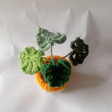 Monstera Basket