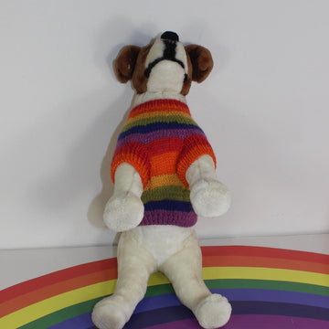 Small Dog Rainbow Back Button Up Dog Coat