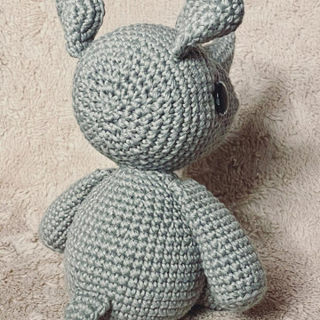 Remi The Rhinoceros