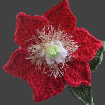 Collection of Clematis crochet
