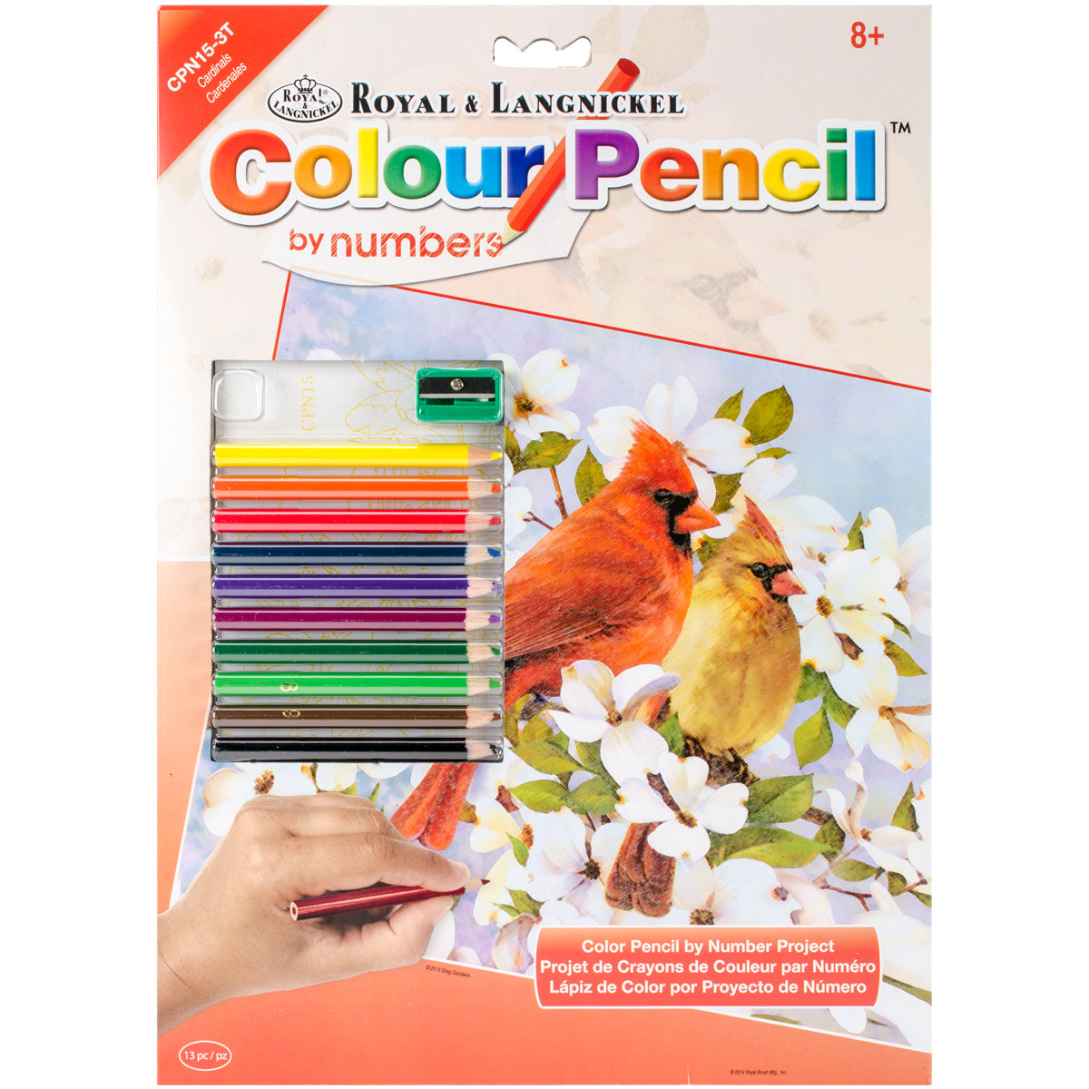 Royal Brush Color Pencil By Number Kit 8.75"X11.75" - Cardinals