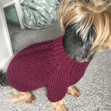 Plum Dog Sweater