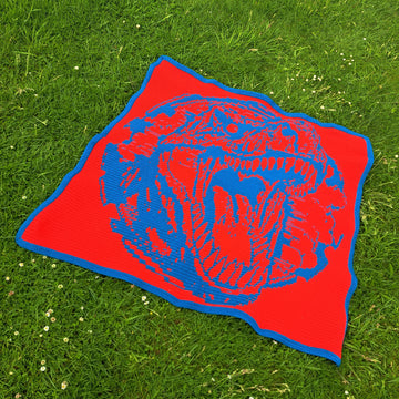 Roar Dinosaur Blanket