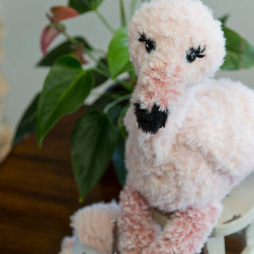 Fable the Flamingo