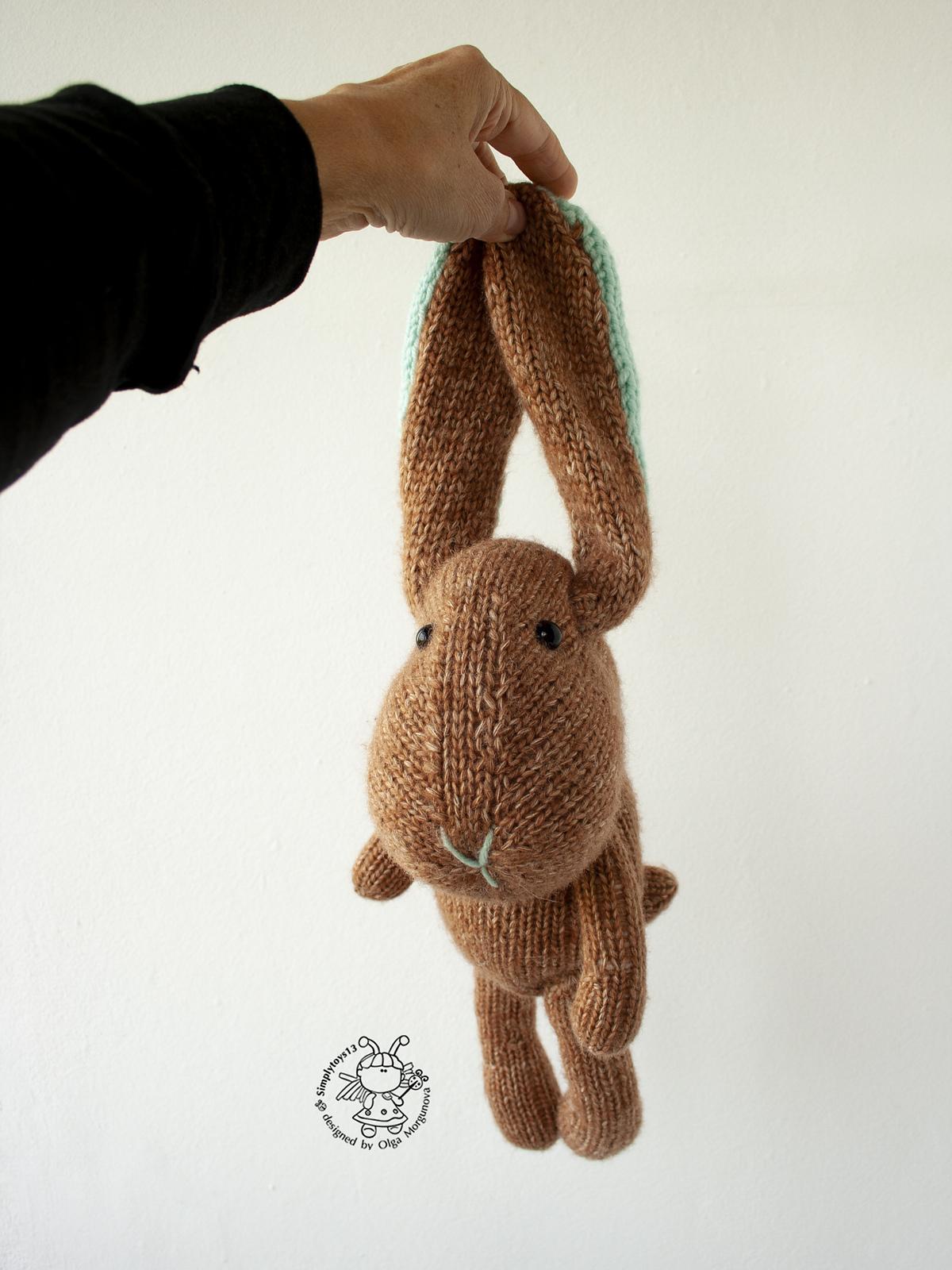 Bunny Biscuit