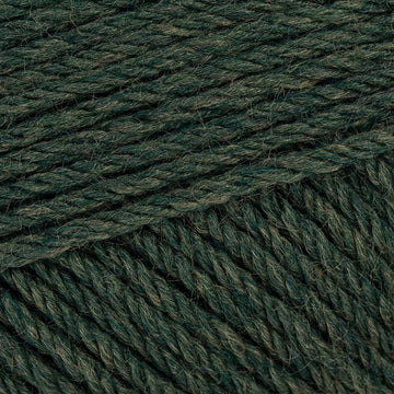 Sage (1443494)