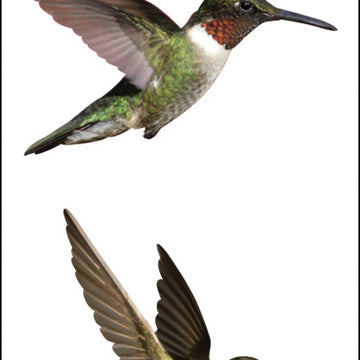 Mrs. Grossman's Stickers - Hummingbirds