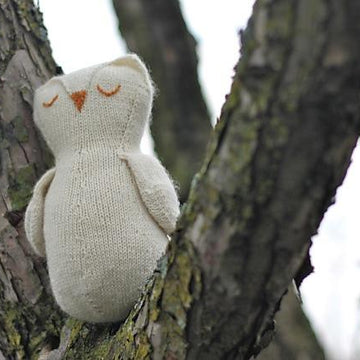 Dreamy Owl