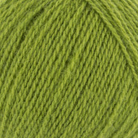 Kiwi (66)