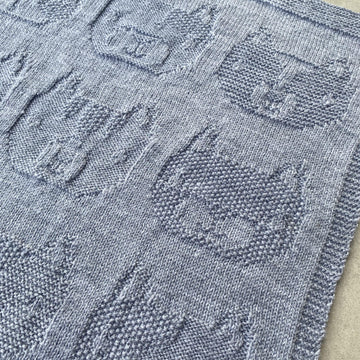 Cat Blanket