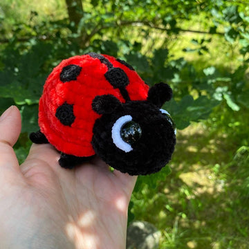 Ladybug