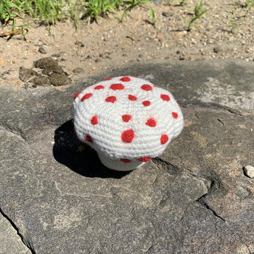 Bleeding Tooth Mushroom Plush