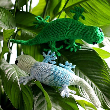 Grab a Gecko!