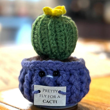 Sassy Succulents