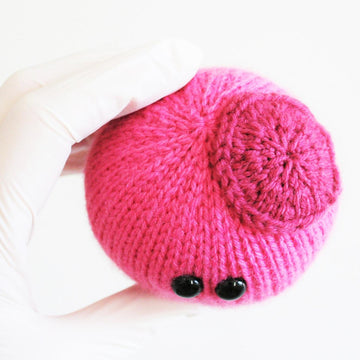 Stem Cell