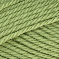 Fern (4222)