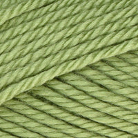 Fern (4222)