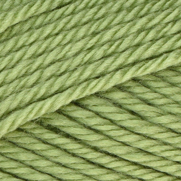 Fern (4222)