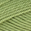 Fern (4222)