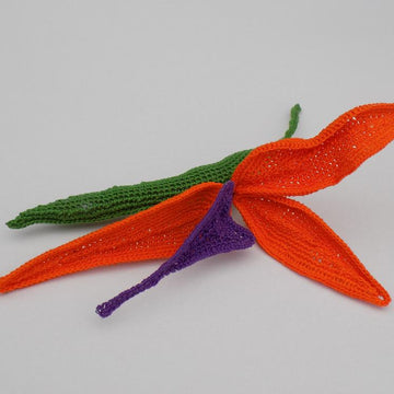 Strelitzia (Bird of Paradise)