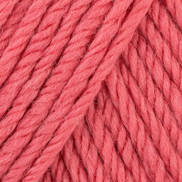 Coral (73)
