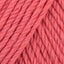 Coral (73)