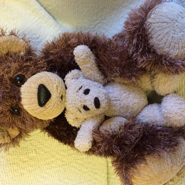 Bobba the Bear (with extra treats)