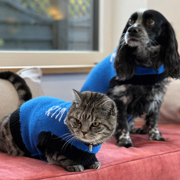 Designer Dog Coat and Cat Coat