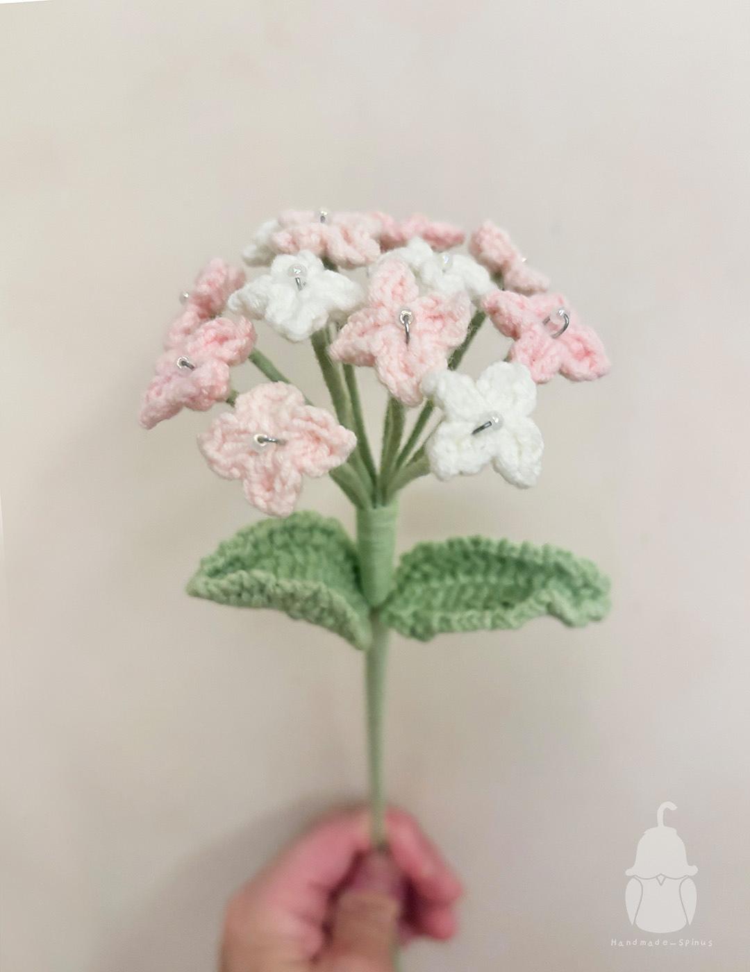 Hydrangea