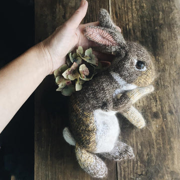 Wild Rabbit