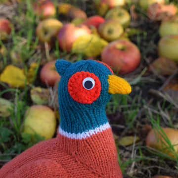 Philip the Pheasant