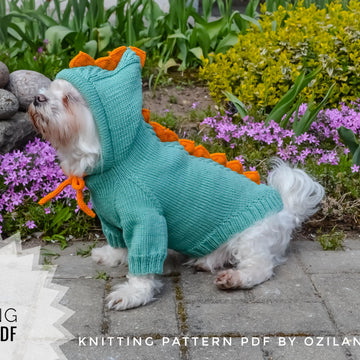 Dragon dog hoodie