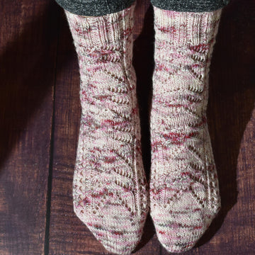 Kolia chaussettes VF