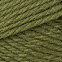 Olive (10)